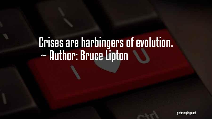Bruce Lipton Quotes 1995404