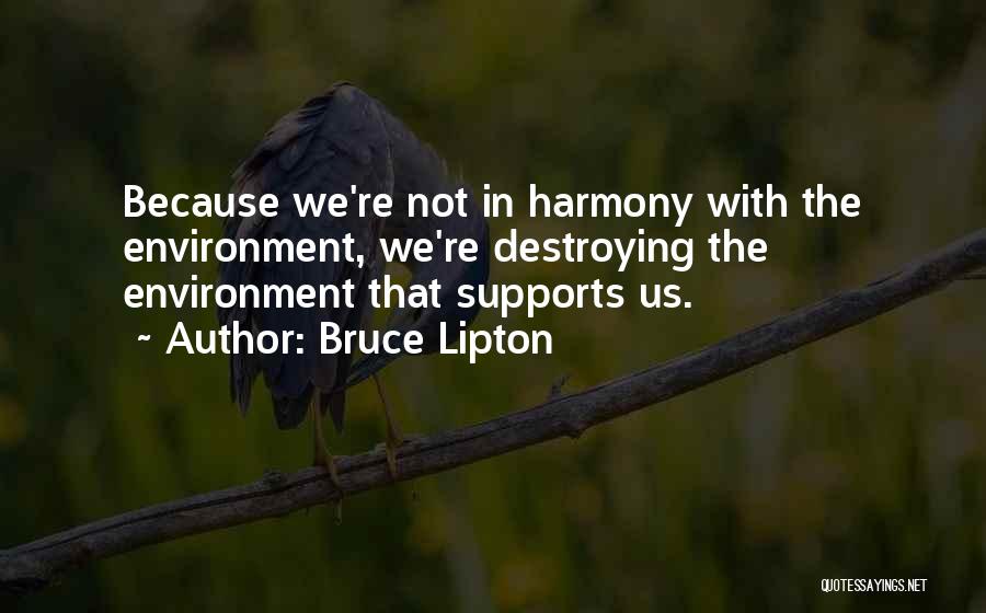 Bruce Lipton Quotes 213886