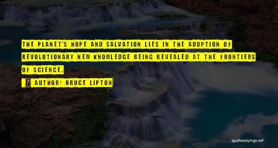 Bruce Lipton Quotes 2149019