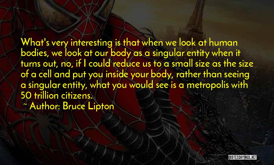 Bruce Lipton Quotes 244845