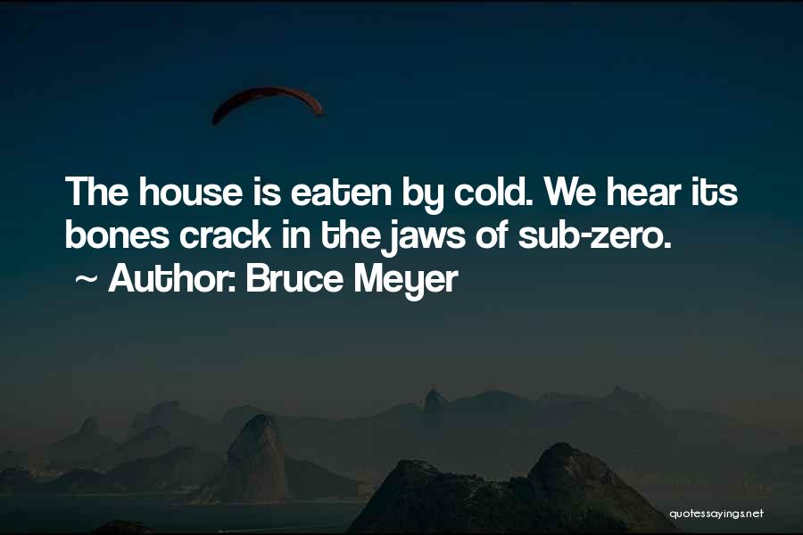 Bruce Meyer Quotes 552015