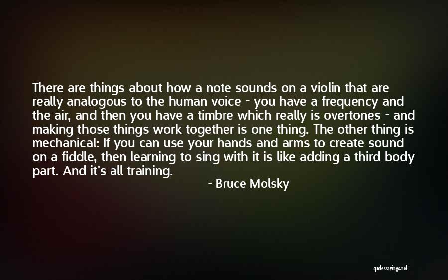 Bruce Molsky Quotes 1800591