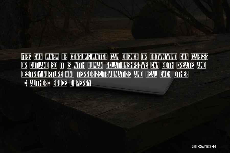 Bruce Perry Quotes By Bruce D. Perry