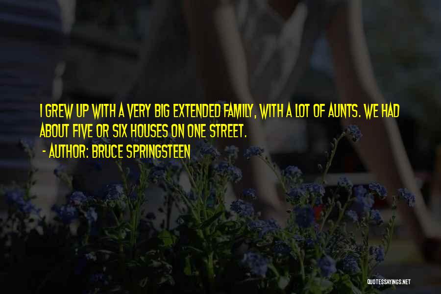 Bruce Springsteen Quotes 357814