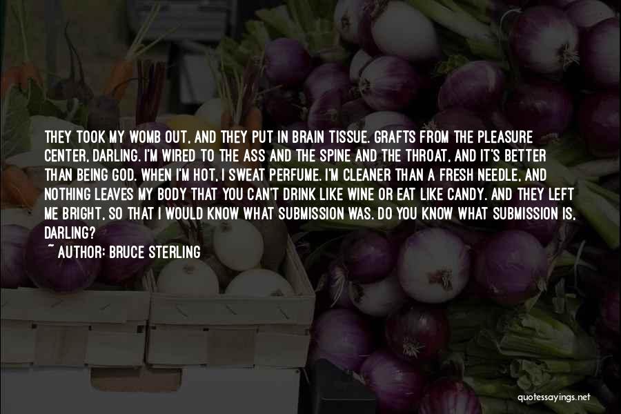 Bruce Sterling Quotes 1136604