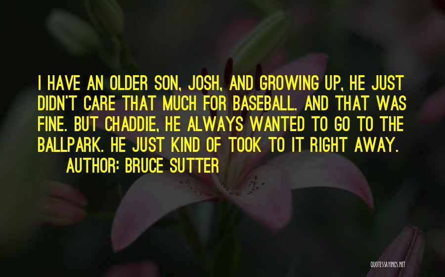 Bruce Sutter Quotes 1697978