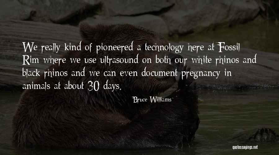 Bruce Williams Quotes 2053319