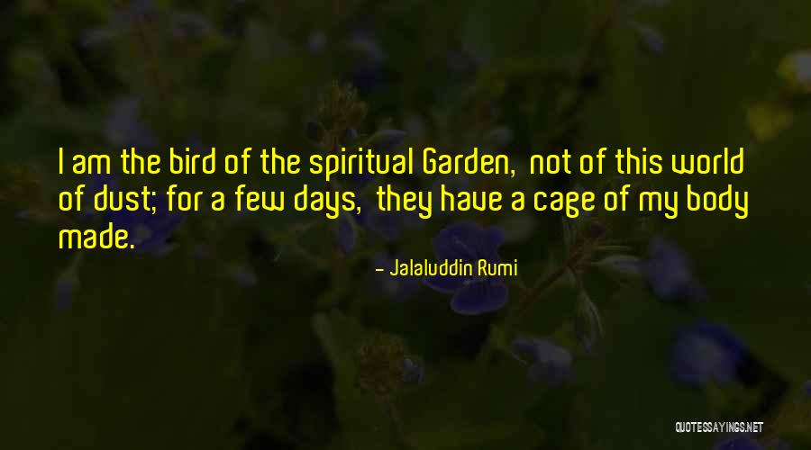 Bruchhausen Vilsen Quotes By Jalaluddin Rumi Bruchhausen Vilsen Quotes By Jalaluddin Rumi