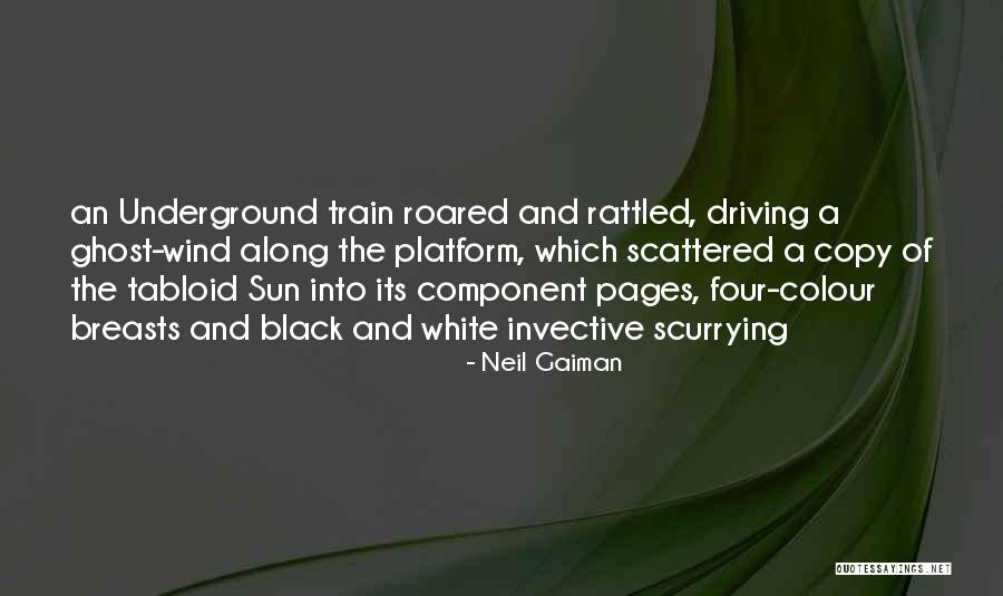 Brucie Gta Quotes By Neil Gaiman Brucie Gta Quotes By Neil Gaiman