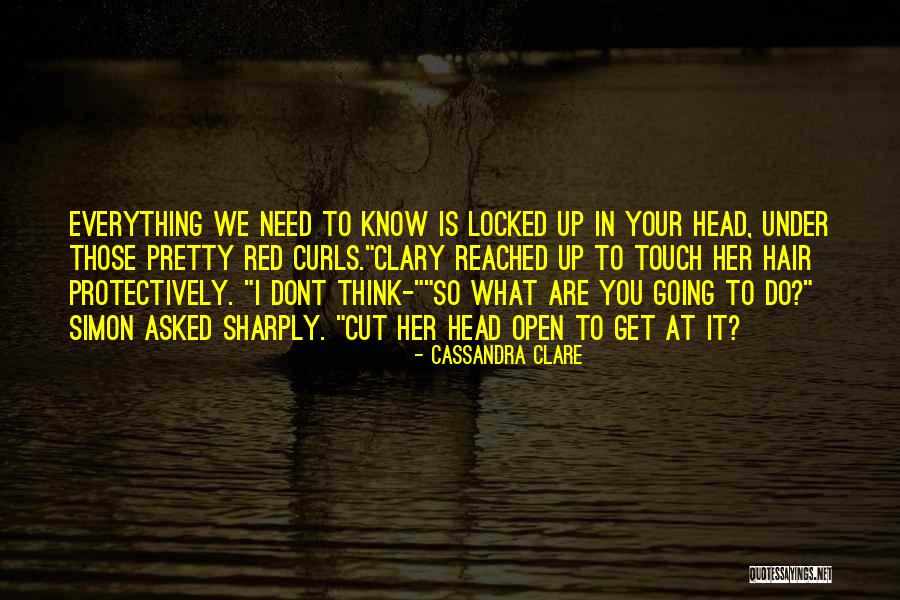 Brudie Quotes By Cassandra Clare Brudie Quotes By Cassandra Clare