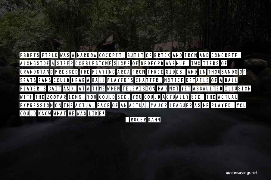 Bruegel Hunters Quotes By Roger Kahn