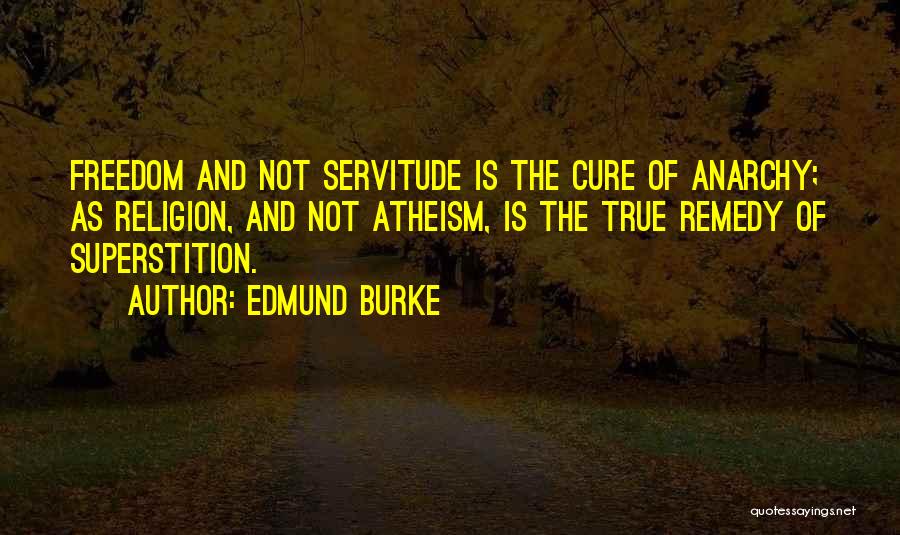 Brueghel Fall Quotes By Edmund Burke