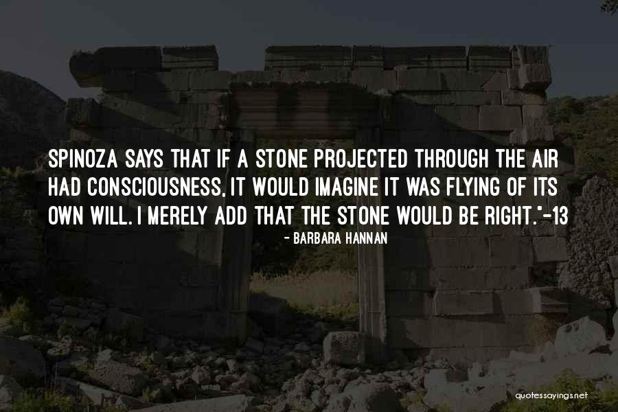 Brueghels Kermess Quotes By Barbara Hannan Brueghels Kermess Quotes By Barbara Hannan