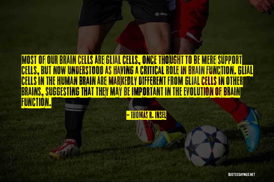 Bruffees Theory Quotes By Thomas R. Insel Bruffees Theory Quotes By Thomas R. Insel