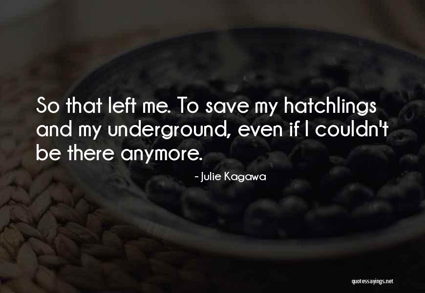 Bruguera Academy Quotes By Julie Kagawa Bruguera Academy Quotes By Julie Kagawa