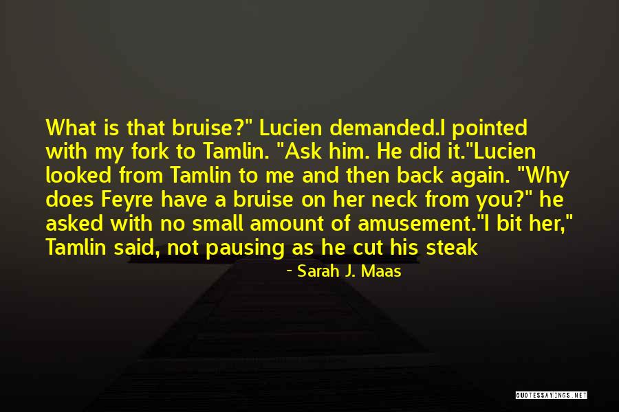 Bruise Quotes By Sarah J. Maas Bruise Quotes By Sarah J. Maas