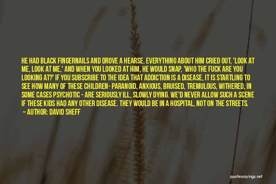 Bruised Quotes By David Sheff