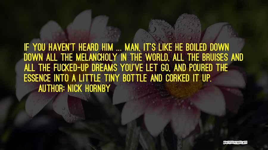 Bruises Quotes By Nick Hornby