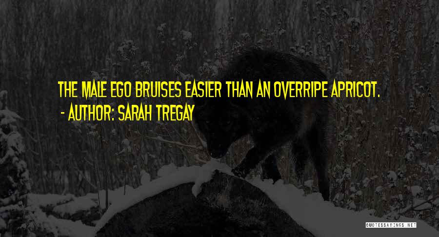 Bruises Quotes By Sarah Tregay