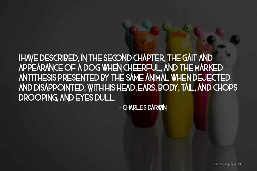 Brujeria Band Quotes By Charles Darwin Brujeria Band Quotes By Charles Darwin
