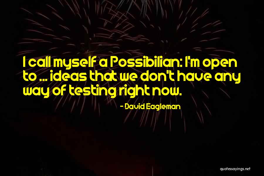 Brujicanciones Quotes By David Eagleman Brujicanciones Quotes By David Eagleman