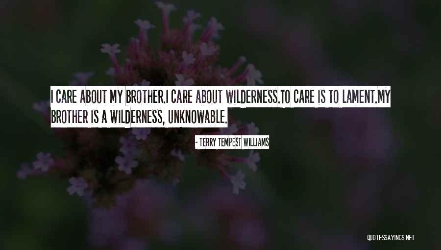 Brummen Im Quotes By Terry Tempest Williams Brummen Im Quotes By Terry Tempest Williams