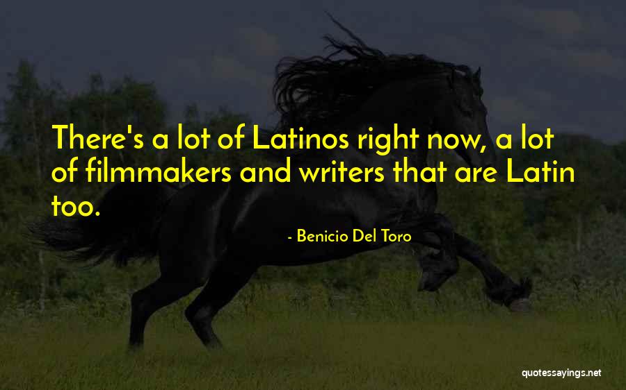 Brummens Quotes By Benicio Del Toro Brummens Quotes By Benicio Del Toro