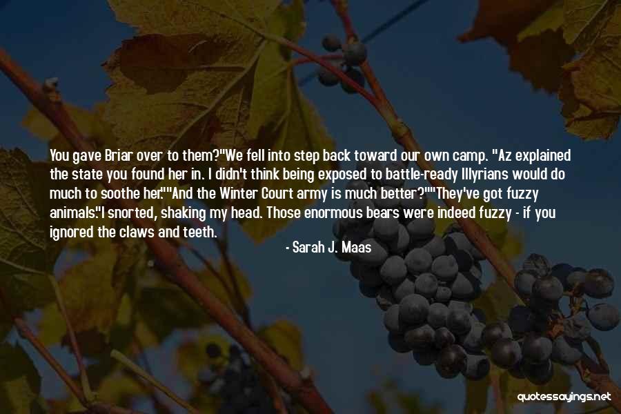 Brummett Monument Quotes By Sarah J. Maas Brummett Monument Quotes By Sarah J. Maas
