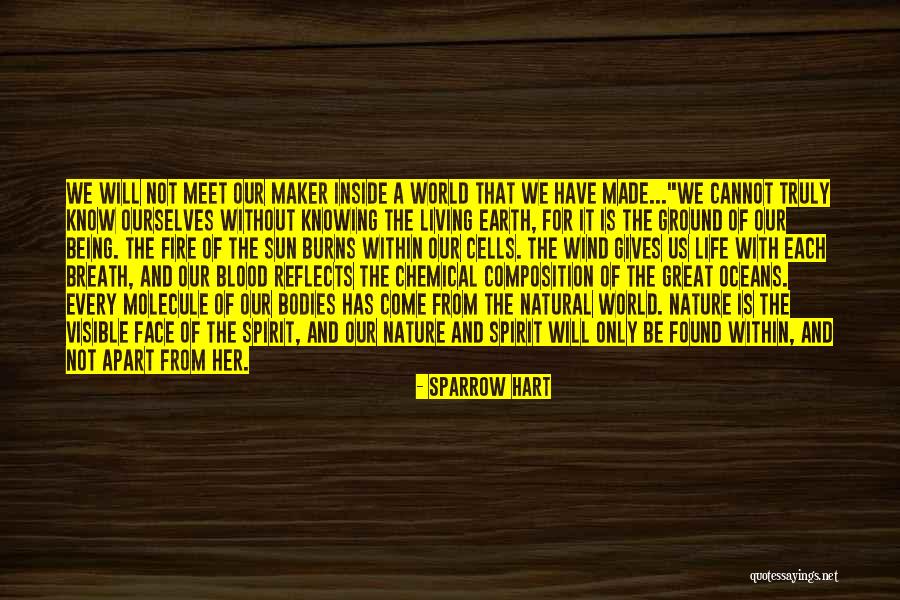 Brunauer Five Types Quotes By Sparrow Hart Brunauer Five Types Quotes By Sparrow Hart