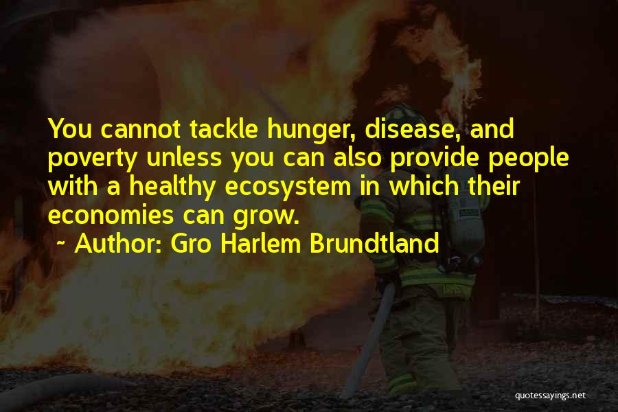 Brundtland Quotes By Gro Harlem Brundtland