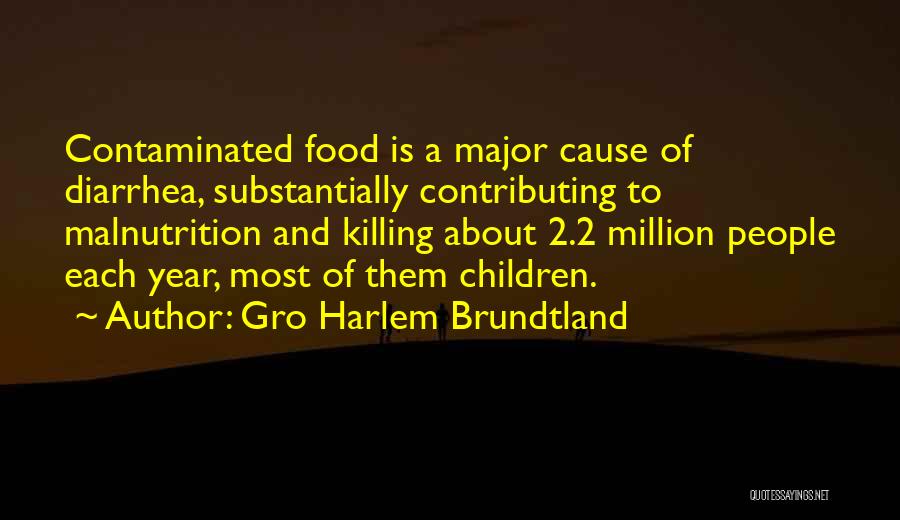 Brundtland Quotes By Gro Harlem Brundtland