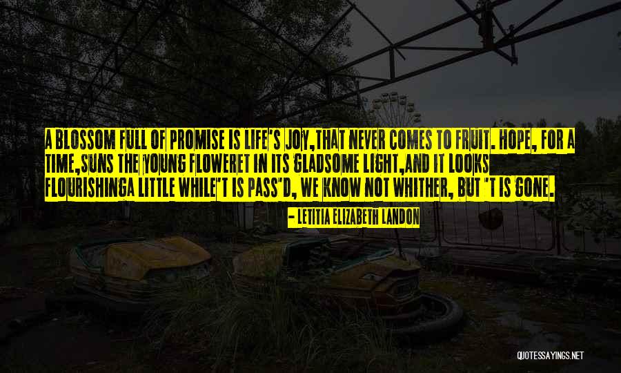 Brunets Liquor Quotes By Letitia Elizabeth Landon Brunets Liquor Quotes By Letitia Elizabeth Landon