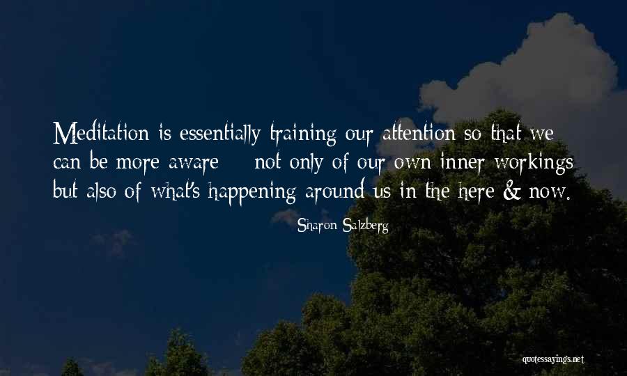 Bruning Quotes By Sharon Salzberg Bruning Quotes By Sharon Salzberg
