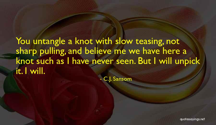 Bruniquel Associates Quotes By C.J. Sansom Bruniquel Associates Quotes By C.J. Sansom