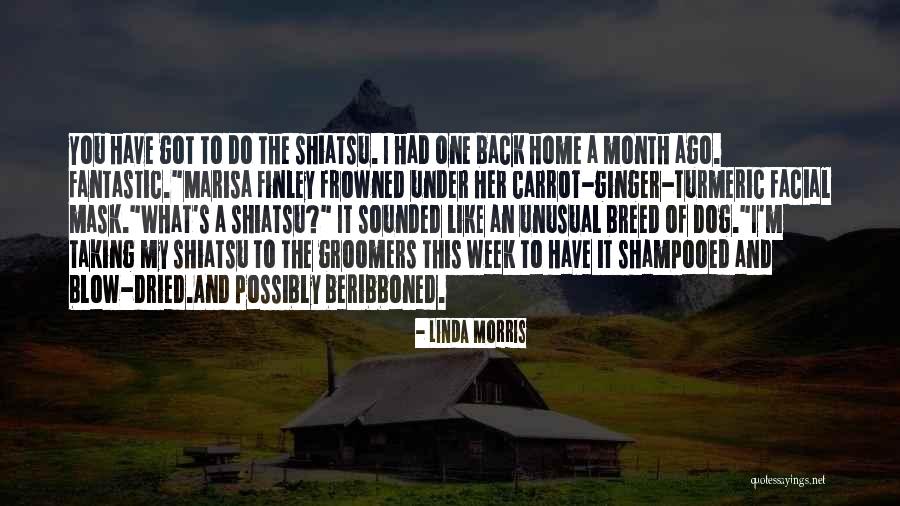 Bruno In The Boy In The Striped Pajamas Quotes By Linda Morris Bruno In The Boy In The Striped Pajamas Quotes By Linda Morris