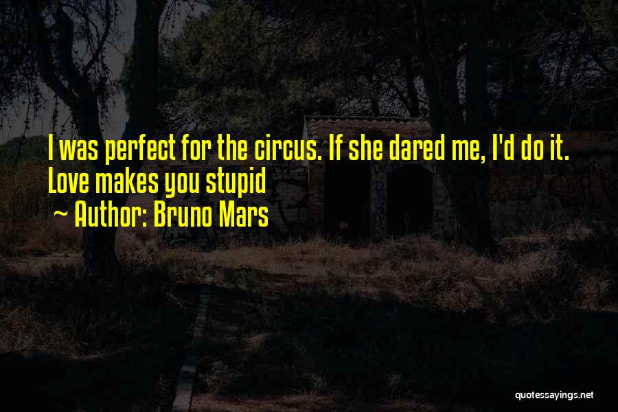 Bruno Mars Quotes 119560