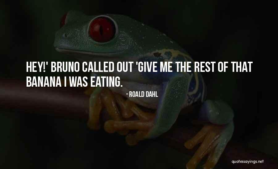 Bruno Quotes By Roald Dahl Bruno Quotes By Roald Dahl