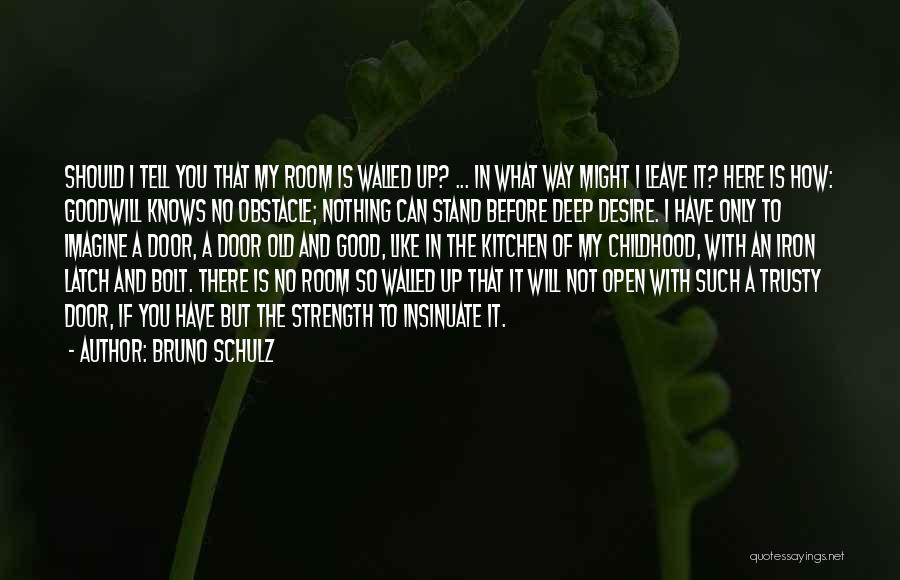 Bruno Schulz Quotes 1121561