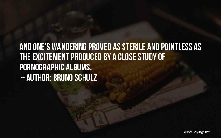 Bruno Schulz Quotes 1154623