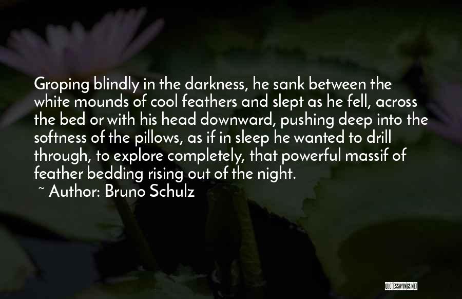 Bruno Schulz Quotes 1369051