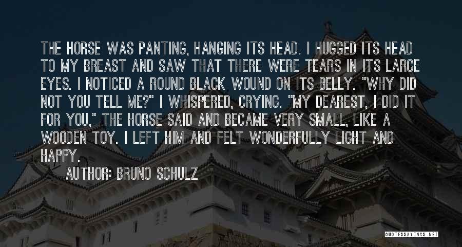 Bruno Schulz Quotes 721437