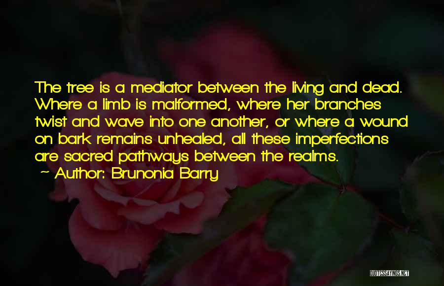 Brunonia Barry Quotes 1016800