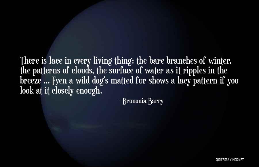 Brunonia Quotes By Brunonia Barry Brunonia Quotes By Brunonia Barry