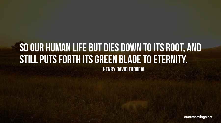 Brunstein Bears Quotes By Henry David Thoreau Brunstein Bears Quotes By Henry David Thoreau
