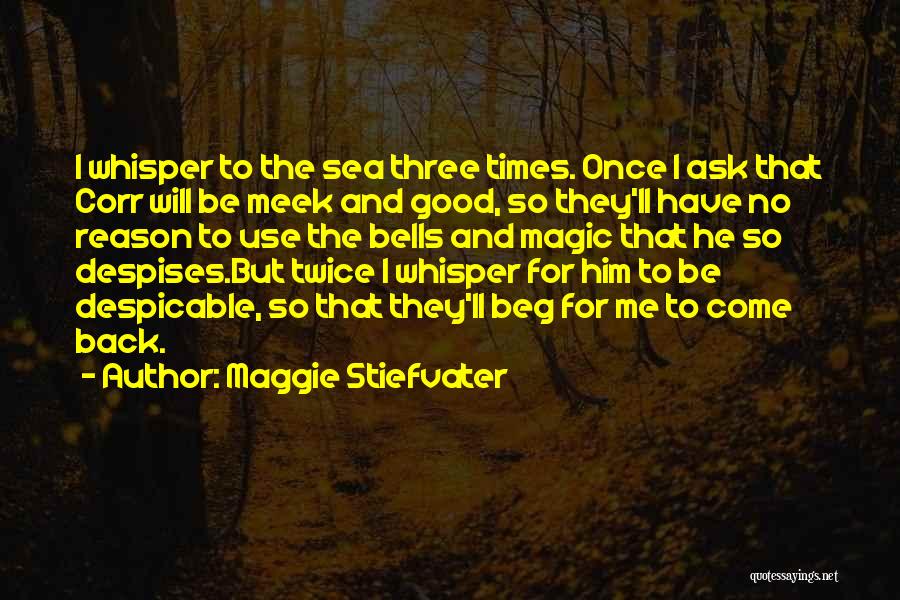 Brunstetter Series Quotes By Maggie Stiefvater