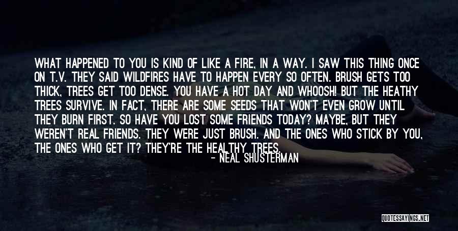 Brush Fire Quotes By Neal Shusterman Brush Fire Quotes By Neal Shusterman
