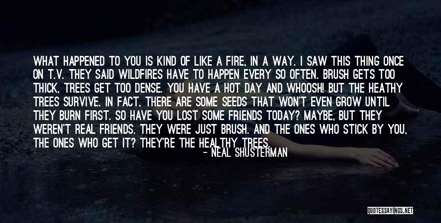 Brush Fire Quotes By Neal Shusterman