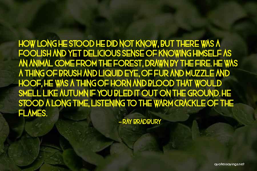 Brush Fire Quotes By Ray Bradbury Brush Fire Quotes By Ray Bradbury