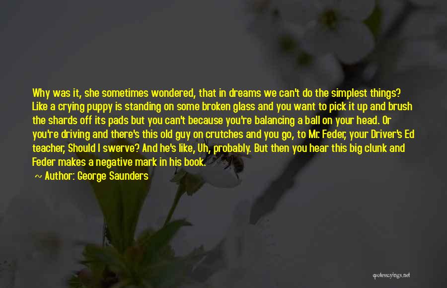 Brush It Off Quotes By George Saunders