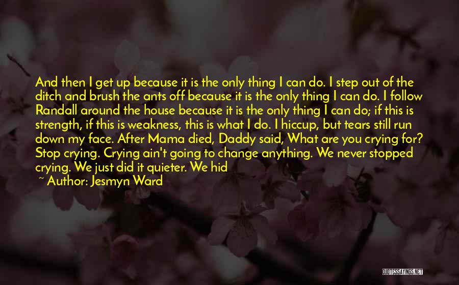 Brush It Off Quotes By Jesmyn Ward